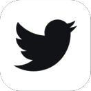 Twitter icon