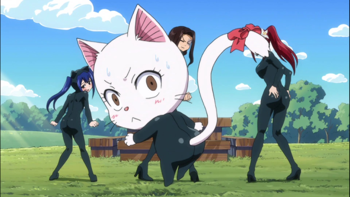 Fairy Tail the Animation  Fairchild's Raging Domain