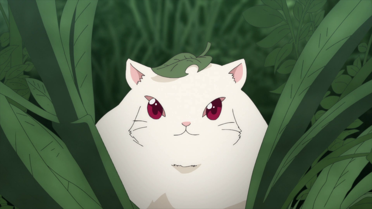 Kiitaro's yokai picture diary Kodama Nezumi Watch on Crunchyroll