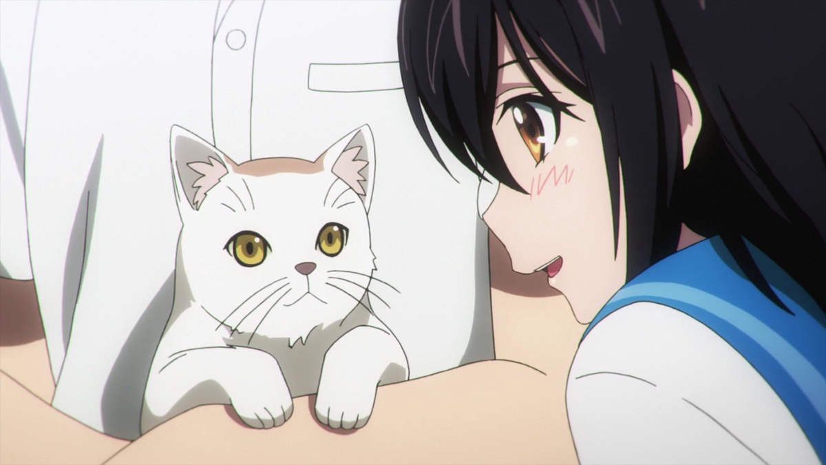 Strike the Blood The Amphisbaena I - Watch on Crunchyroll