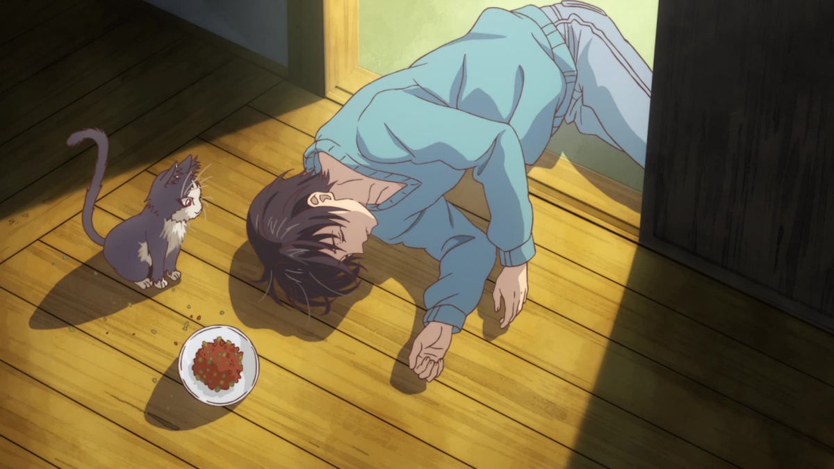Crunchyroll My Roommate Is A Cat My Roommate is a Cat An Encounter with the Unknown - Watch on Crunchyroll
