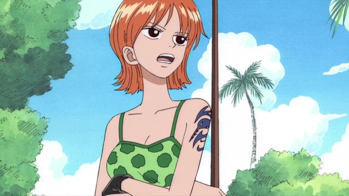 Should i watch the elisode of east blue and episode of nami instead of the  40 episodes? : r/OnePiece