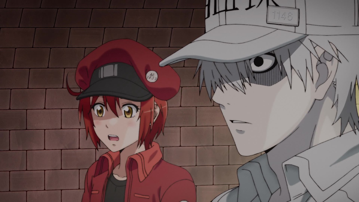 LA CIENCIA DE LA VIDA: Cells at work! [Hataraku Saibou]. Episodio 2. Rasguño