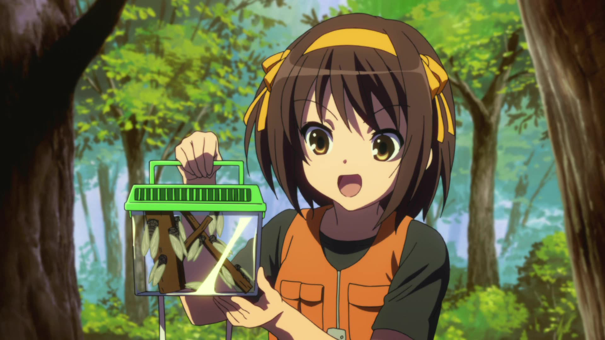 The Melancholy of Haruhi Suzumiya (English Dub) Endless Eight VII