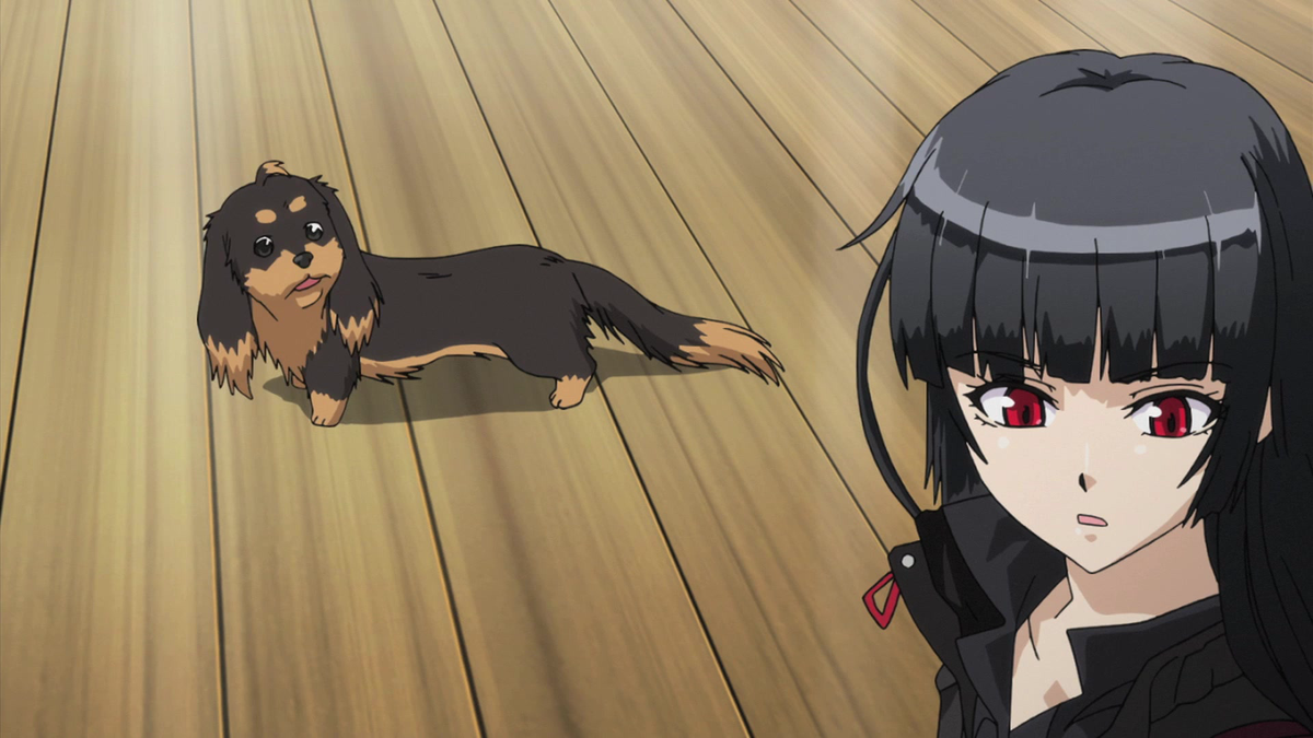 Dog & Scissors (English Dub) There is no Smoke without Dog - Watch on ...