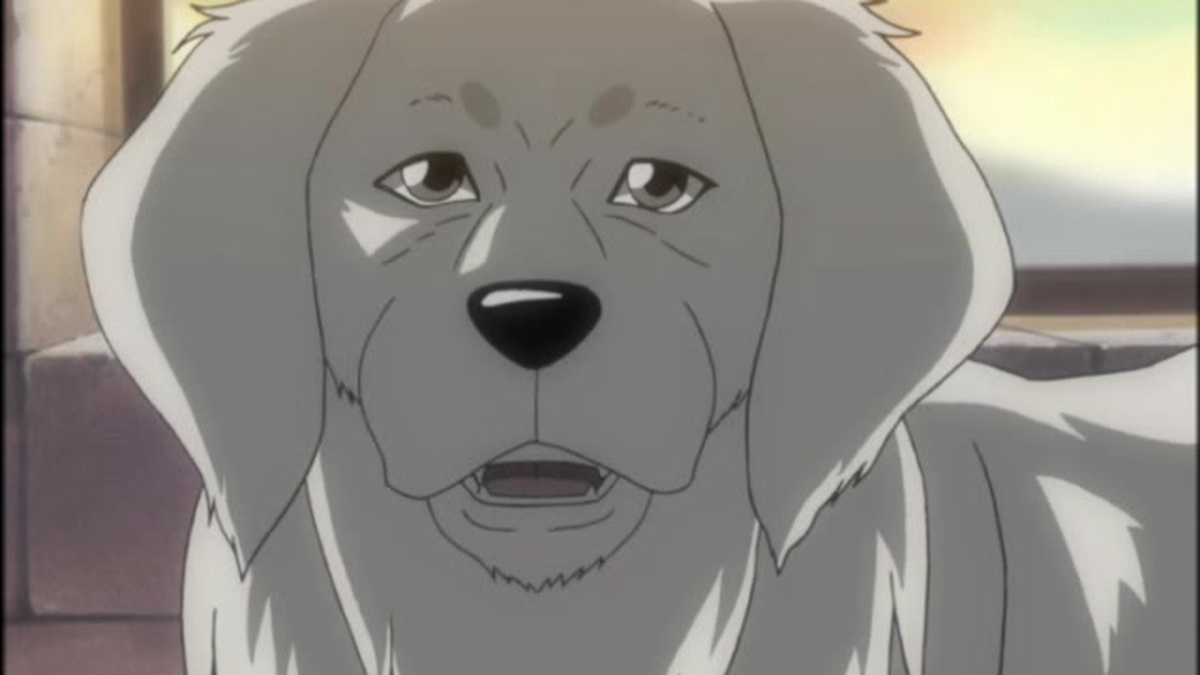 Ragnarok - The Animation (English Dub) What Did You Just Say? - Watch on  Crunchyroll