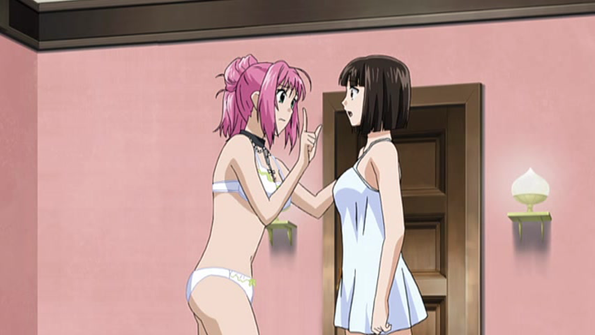 Rosario + Vampire Capu2 Body Measurements and a Vampire - Watch on  Crunchyroll