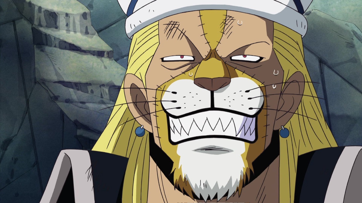 One Piece: Thriller Bark (326-384) (English Dub) Not Out of Danger