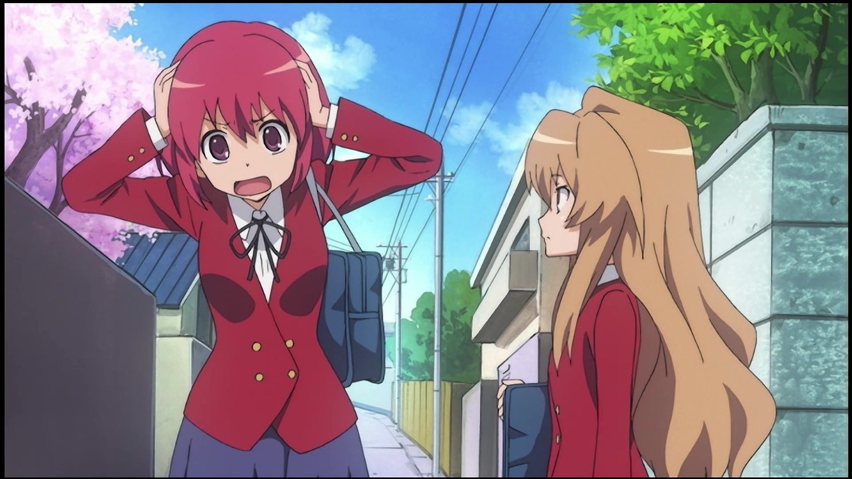 Toradora!: 5 Times We Related To Taiga (& 5 We Just Didn't Get Her)