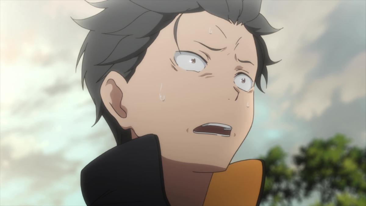 Re:ZERO -Starting Life in Another World- Director's Cut (English Dub ...
