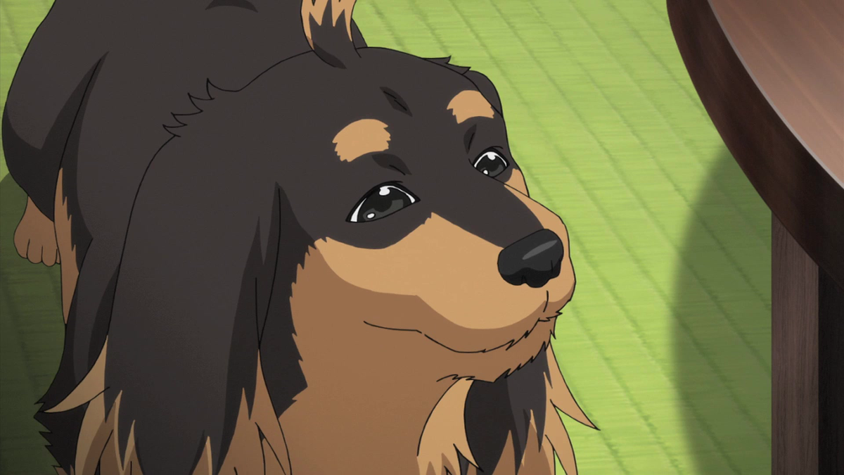 Dog & Scissors (English Dub) Rain Settles the Dog Watch on Crunchyroll