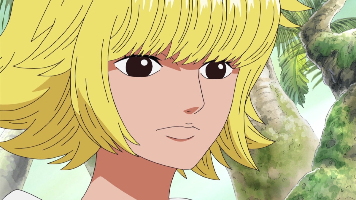 One piece amazon lily shop full episode english dub