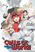         Cells at Work! (English Dub) is a featured show.
      