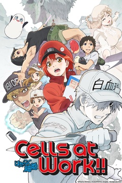 Cells At Work!