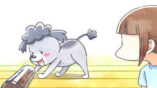 With a Dog AND a Cat, Every Day is Fun Brushing - Watch on Crunchyroll