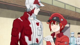 LA CIENCIA DE LA VIDA: Cells at work! [Hataraku Saibou]. Episodio 2. Rasguño