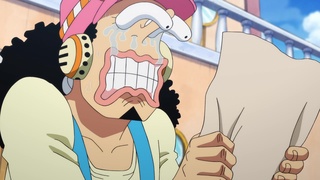 One Piece: WANO KUNI (892-Current) Believe in Luffy! The Alliance's  Counterattack Begins! - Watch on Crunchyroll