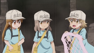 Hataraku Saibou tem seu elenco definido - Crunchyroll Notícias