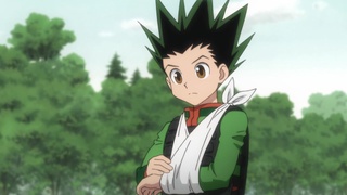 Hunter x Hunter Falsos x e x Verdadeiros - Assista na Crunchyroll