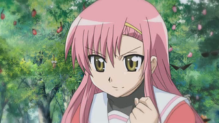 Hayate no Gotoku! (Temporada 1) Elohim, Essaim. Señora vaca, señora ...