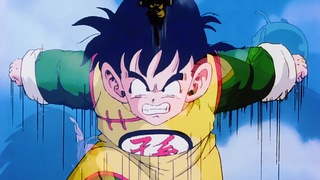 Dragon Ball Z O guerreiro mais poderoso de toda a história é o irmão mais  velho de Goku! - Assista na Crunchyroll