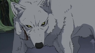 Watch wolf's sales rain online