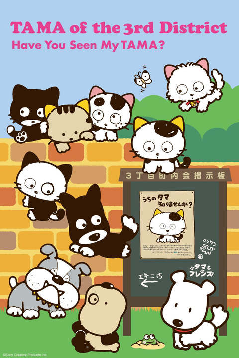 TAMA of the 3rd District -Have You Seen My TAMA?