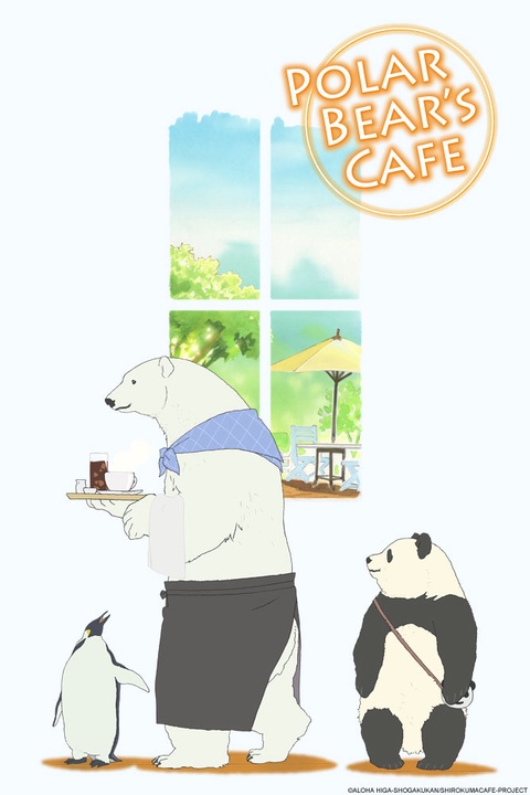  Ver café del oso polar