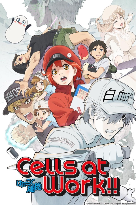 Aniplex USA - Cells at Work! Episode 8, “The Circulatory