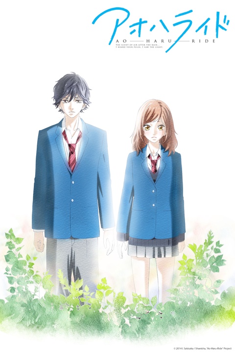 where can you watch ao haru ride ova｜TikTok Search