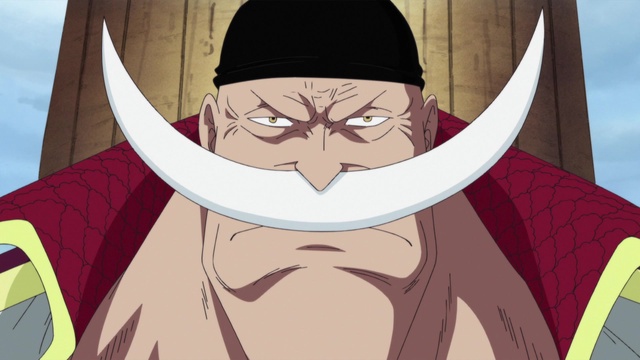 One Piece Mesmo que Signifique a Morte! Luffy vs. A Marinha: Começa a  Batalha! - Assista na Crunchyroll