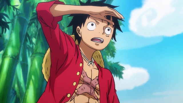 One Piece: WANO KUNI (892-Current) The Last Curtain! Luffy and Momonosuke's  Vow - Watch on Crunchyroll
