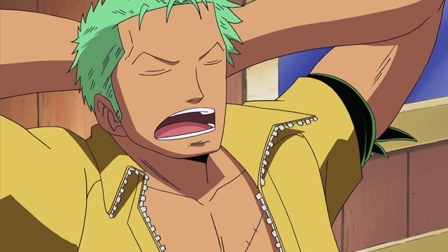 One Piece: Water 7 (207-325) (English Dub) A Mysterious Boy With a