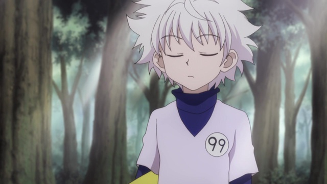 Hunter x Hunter (Subbed) (Subbed) 