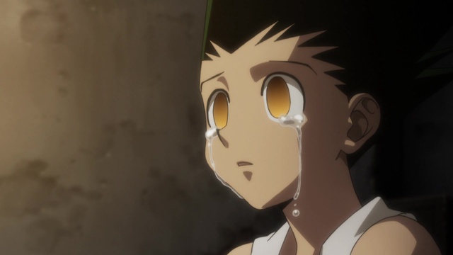 Hunter x Hunter Ira x e x Luz - Assista na Crunchyroll